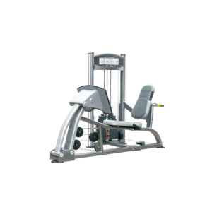 IT9310 - Leg Press - 300 lbs
