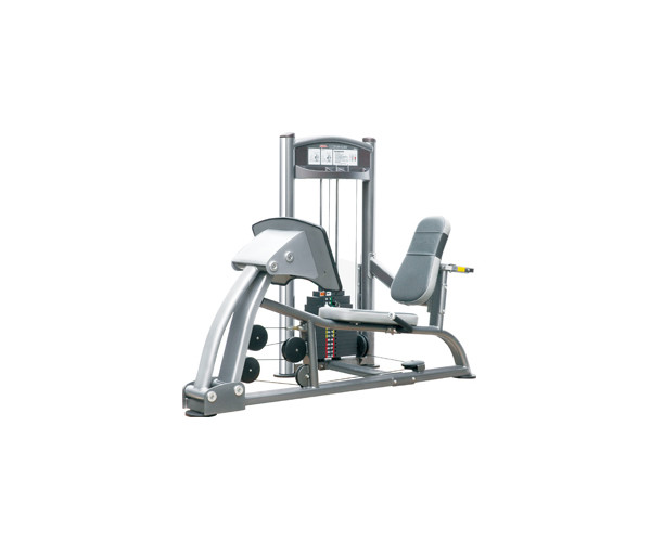 IT9310 – Leg Press – 300 lbs 1