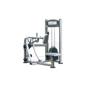 IT9319 - Row - 275 lbs